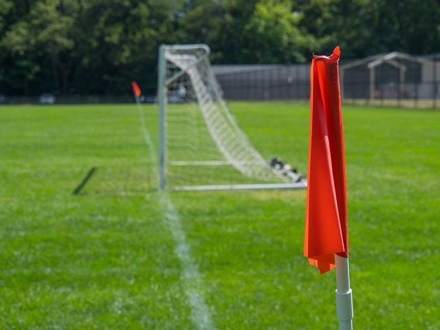 步成長的基 步成長的基